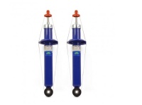 Амортизаторы 2170 задней подвески газонаполненные ДЕМФИ (СЕРИЯ КОМФОРТ) (2шт)